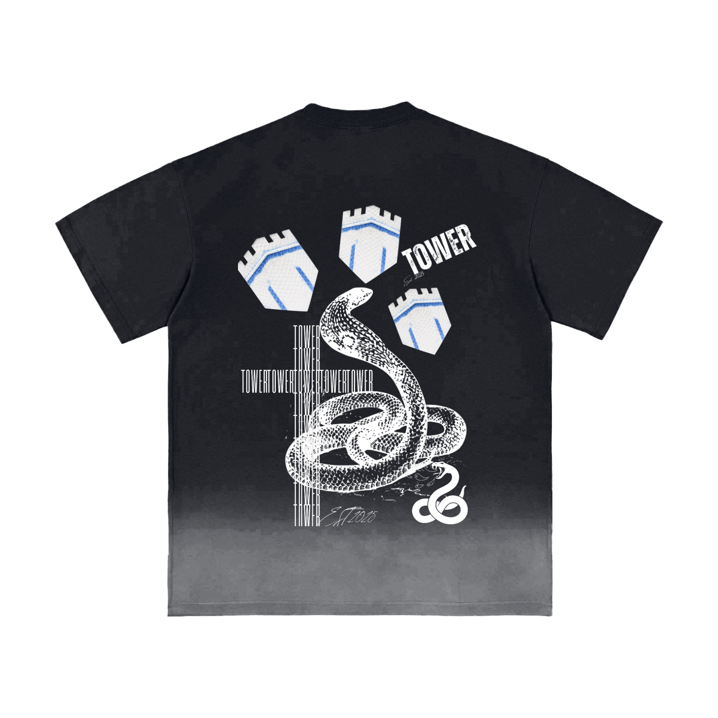 Sunfade SnakeTower Washed T-Shirt