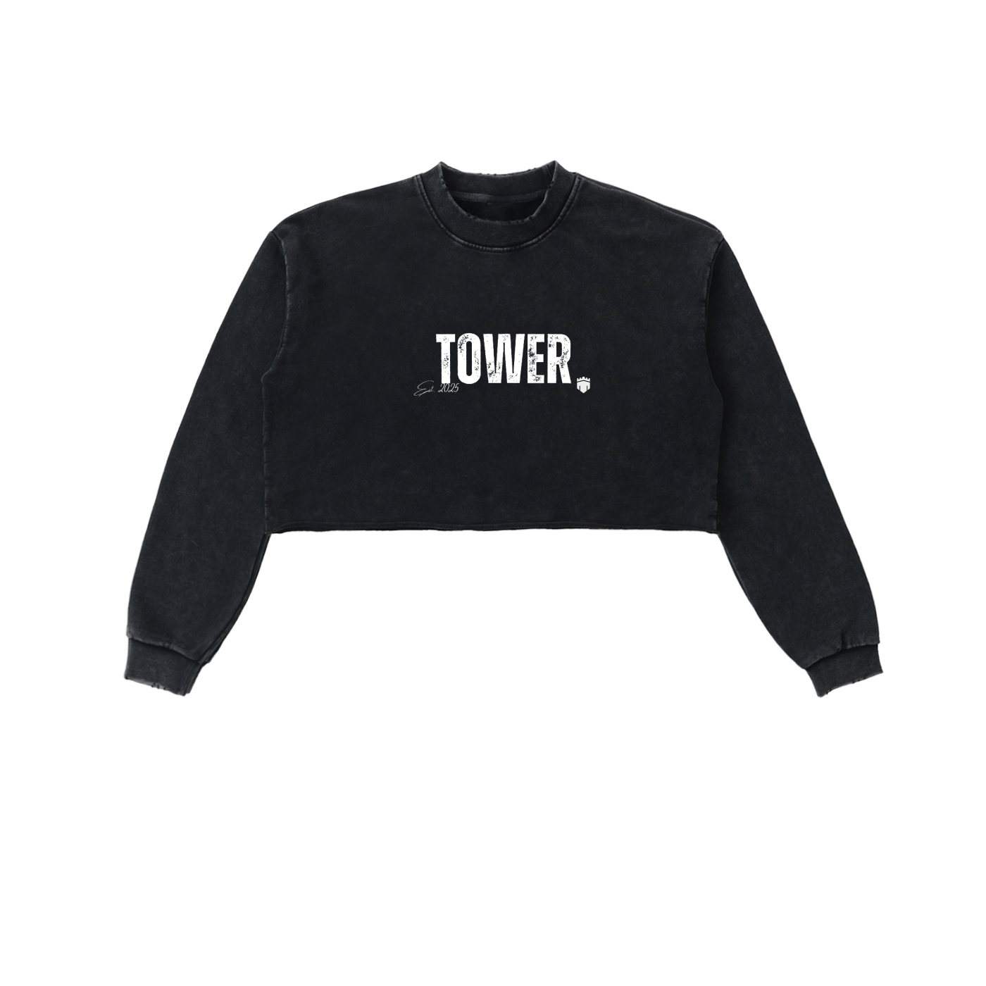 Snow Washed Raw Edge Cropped Sweatshirt